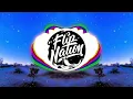 Subtronics - Bird Phone