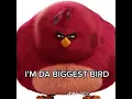 I m da biggest bird