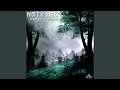 Download Lagu Msty Mtnz (SCHMUX Remix)