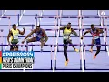 Men s 110mH Final Paris Champions