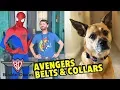 Avengers Endgame Buckle-Down Products with the Avengers at DCA and My Pup