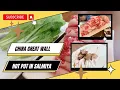 CHINA GREAT WALL RESTAURANT HOTPOT BEST CHINESE FOOD IN KUWAIT SALMIYA