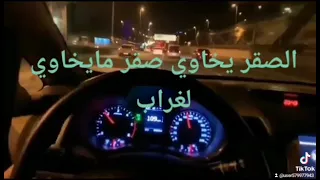 الصقر يخاوي صقر مايخاوي الغراب 