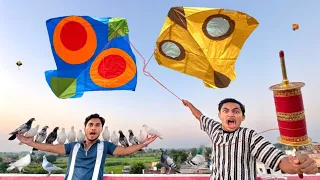 Kite Vs Lucky Kabooter Free Gift All Village | Cut Gudda Catch Haveli 