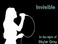 Skylar Grey - Invisible (Karaoke Instrumental) On Screen Lyrics