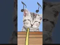 Download Lagu Necesito buscarme otro hobby. The cat finally found a hobby/I want to eat  food/ funny cat animation
