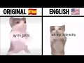 Lagu Ay Mi Gatito Miau Miau Translation