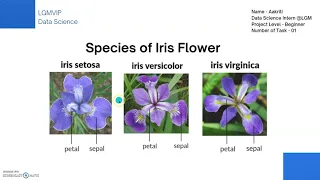 Iris Flower Classification Using Machine Learning