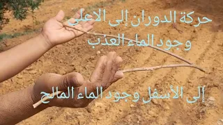 تعلم الطريقة الصحيحة و السليمة لمسك غصن الزيتون للبحث عن المياه الجوفية ودلالة حركته إلى الاعلى 