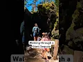 Download Lagu Walking through a fallen Giant Sequoia #travel #fulltimerv #fulltimervlife #hiking #sequoia