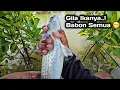 Download Lagu Yakin Gak Ngiler..!! SPOT Pinggiran DANGKAL IKANYA BESAR2 !! 😁