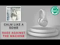 Rage Against The Machine - Calm Like A Bomb 🎧 (360° Reality Audio)