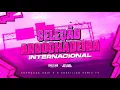 SELEÇÃO ARROCHADEIRA INTERNACIONAL - DJ Felipe Alves
