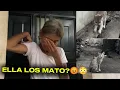 Download Lagu 🚨DOÑA LEONA MAT0 A SUS GATOS🚨😧😭😡LOS VECINOS ESTÁN EN SU CONTRA 