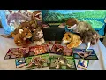 Smilo s Weird n Wild Creatures Card Collection