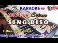 Download Lagu SENG BISO KARAOKE || Versi Original Banyuwangi DF ega chanel