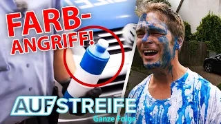 Frau hat Affäre mit dem Tanzlehrer: Ehemann rächt sich! | Auf Streife-Ganze Folge | SAT.1