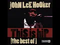 John Lee Hooker Hard Times