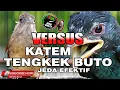 Download Lagu #1🔴 KOMPILASI MASTERAN JUARA KAPAS TEMBAK VERSUS TENGKEK BUTO JEDA EFEKTIF !! VIDEO HD AUDIO JERNIH