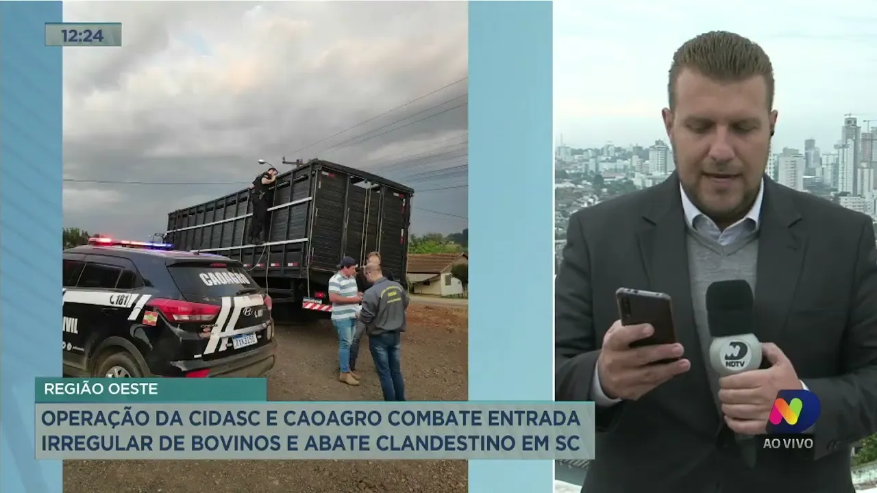 Grande operação combate abate clandestino e demais irregularidades com bovinos no Oeste de SC