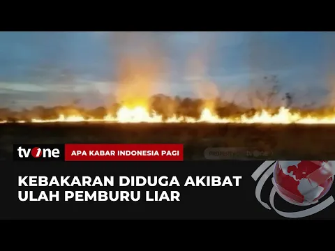 Taman Nasional Way Kambas Terbakar dan Semakin Meluas