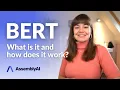 What is BERT and how does it work A Quick Review