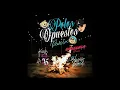 Polos Opuestos (Remix) - Kris R ft. Blessd, Cosculluela [RMX 2025] (DJ Leon)