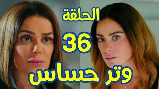 مسلسل وتر حساس الحلقة 36 مازن طلع براءة وكاميليا بتهدـد رغدة وسلمي عاوزة تنـتقم 