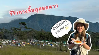 รีวิวเดินขึ้นภูสอยดาวแบบละเอียด | ภูสอยดาวสวยมากกกกกก