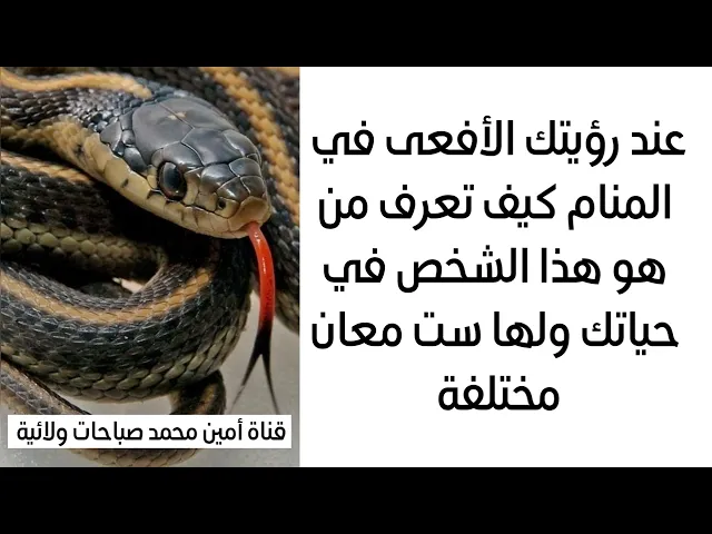 ⁣إذا رأيت الأفعى في المنام كيف تعرف من هو هذا الشخص في حياتك ولها ست معانٍ مختلفة