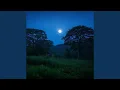 Download Lagu Jeritan Sepi Malam