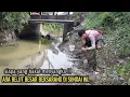 Lagu SIAPA YANG BAKAL MENDUGA‼️ADA BELUT SUPER BESAR MENGHUNI SUNGAI INI