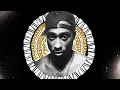 Download Lagu 2Pac - Son Of A Panther (Nozzy-E Remix) (Prod By VINCI)