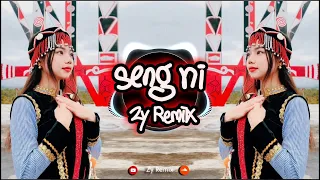 seng ni remix tangpaw ah tu tara zy remix