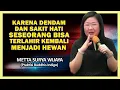 Download Lagu Reinkarnasi Manusia Menjadi Hewan | Edisi Spesial Metta Wijaya #rakittua
