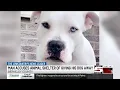 Family Berkeley Co animal shelter at odds over pet ownership