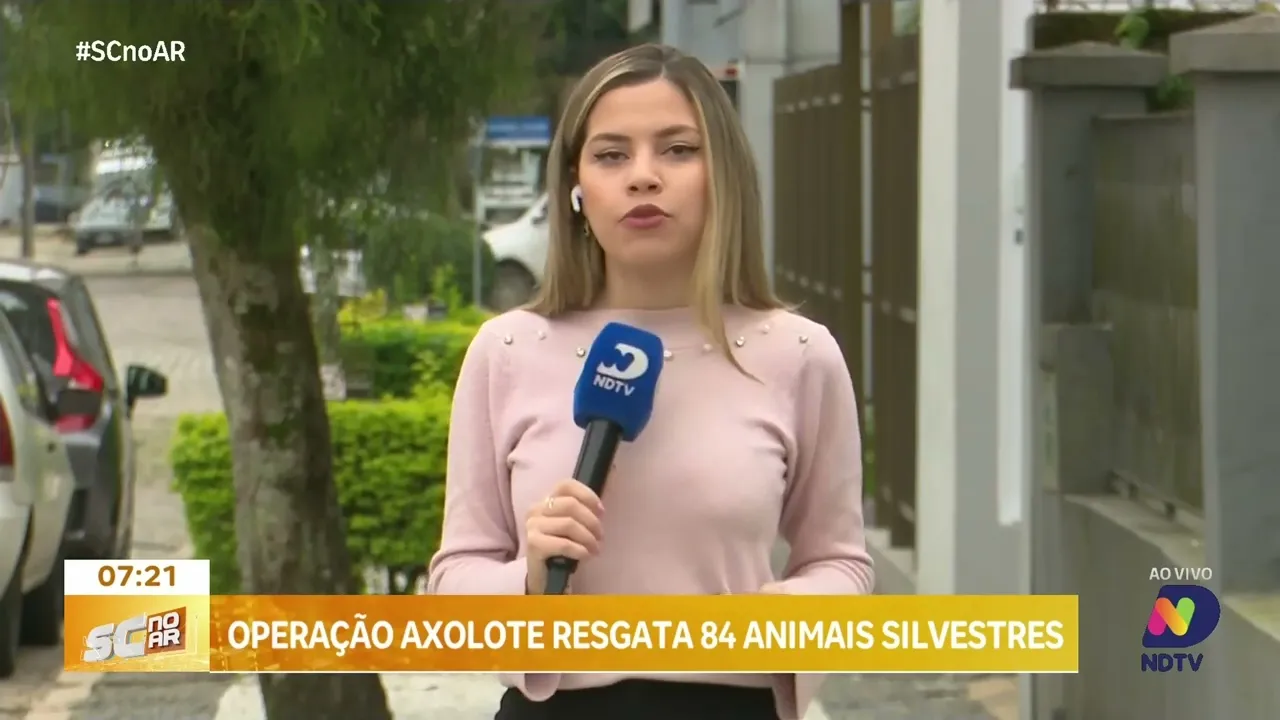 Megaoperação Axolote resgata 84 animais silvestres em três estados