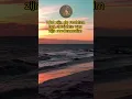 Download Lagu Wat zijn de rechten ten opzichte van zijn medemoslim