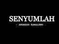 Download Lagu Senyum lah - Andmesh Kamaleng (Lyric Video)