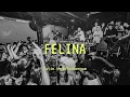 Download Lagu Hector y Tito - Felina (TECHENGUE) - DJ BAZZ