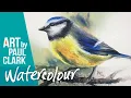 How to Paint a Blue Tit in Watercolour - Step-by-step