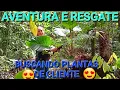 Download Lagu Aventura e resgate de plantas #comofazer #plants #natureza