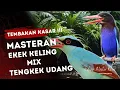 Download Lagu Tengkek Udang \u0026 Ekek Keling Gacor Maksimal | Cocok Untuk Cucak Ijo, Cendet, Murai!
