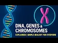 DNA Genes Chromosomes The Ultimate Guide