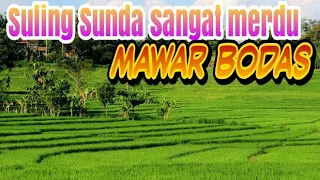 Download Suling Sunda MAWAR BODAS sangat merdu MP3