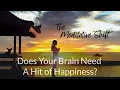 Does Your Brain Need Hit Of Happiness