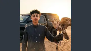 الصقر غير البومه  في الصوره انا ورفيقي                     دندنها