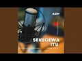 Download Lagu Sekecewa Itu