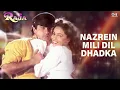 Nazrein Mili Dil Dhadka - Raja | Love You Raja | Alka Yagnik & Udit Narayan | Madhuri Dixit & Sanjay