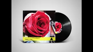afro pupo ft aurson tribal love main mix 